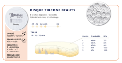 Disque Zircone INDEX Beauty