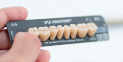 Dents Postérieures – Gamme LINGOFORM – VITA