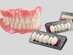 Dents Antérieures Haut – Gamme PHYSIODENS – VITA