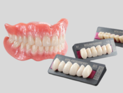 Dents Antérieures Bas – Gamme PHYSIODENS – VITA