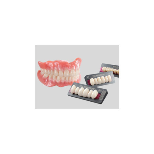Dents Antérieures Bas – Gamme PHYSIODENS – VITA