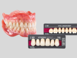 Dents Antérieures Haut – Gamme EXCELL – VITA