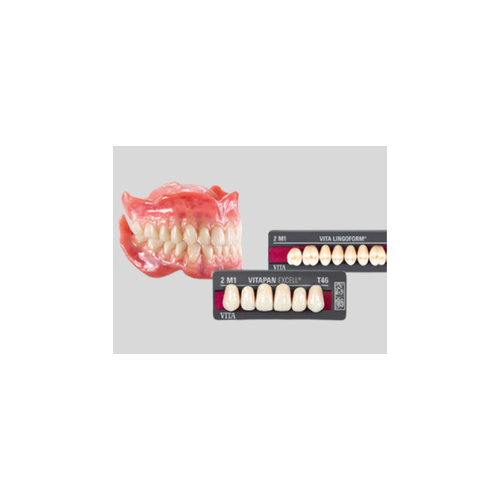 Dents Antérieures Haut – Gamme EXCELL – VITA