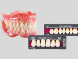 Dents Antérieures Bas – Gamme EXCELL – VITA