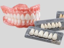 Dents Postérieures – Gamme MFT – VITA