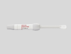 VM LC B-Dentine Flow - VITA