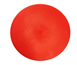 DISQUE CIRE ORANGE